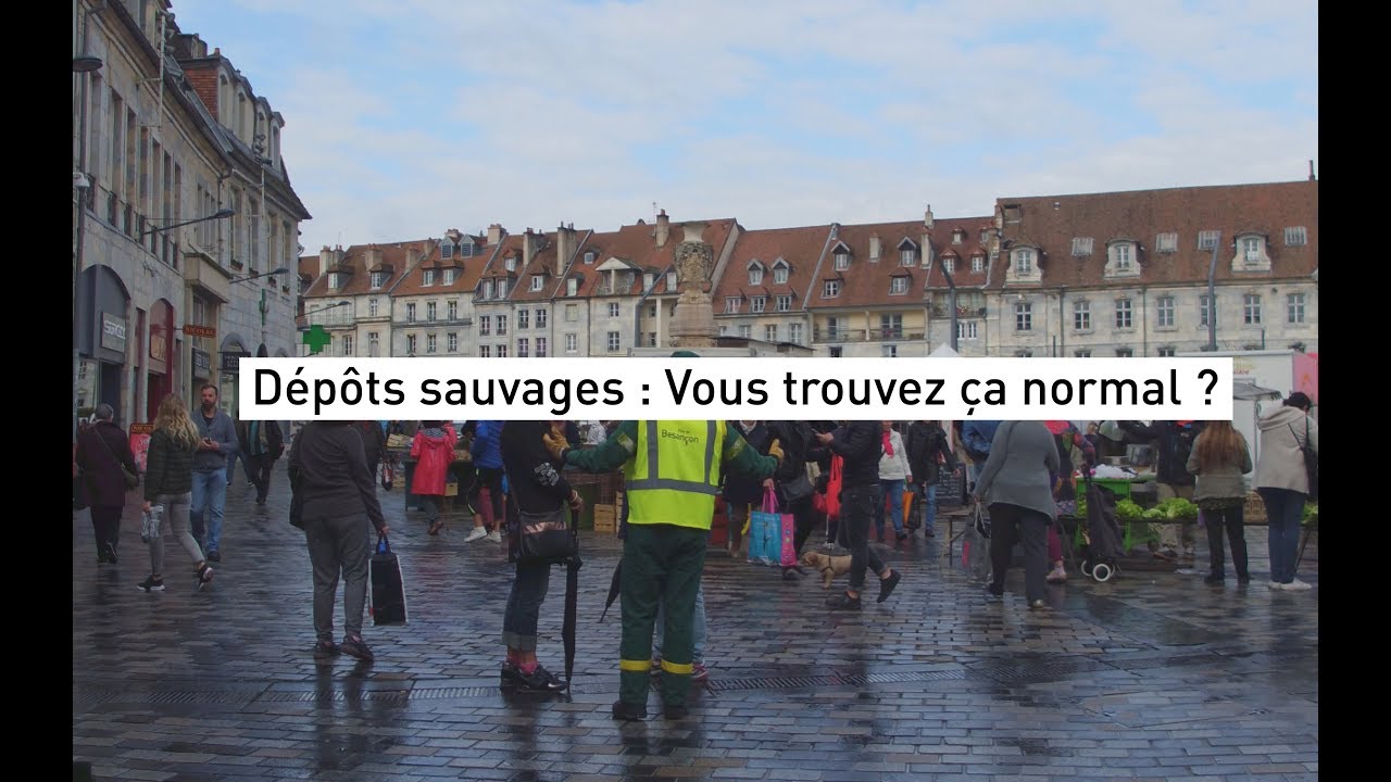 Dépôts Sauvages : Vous trouvez ça normal ? #1