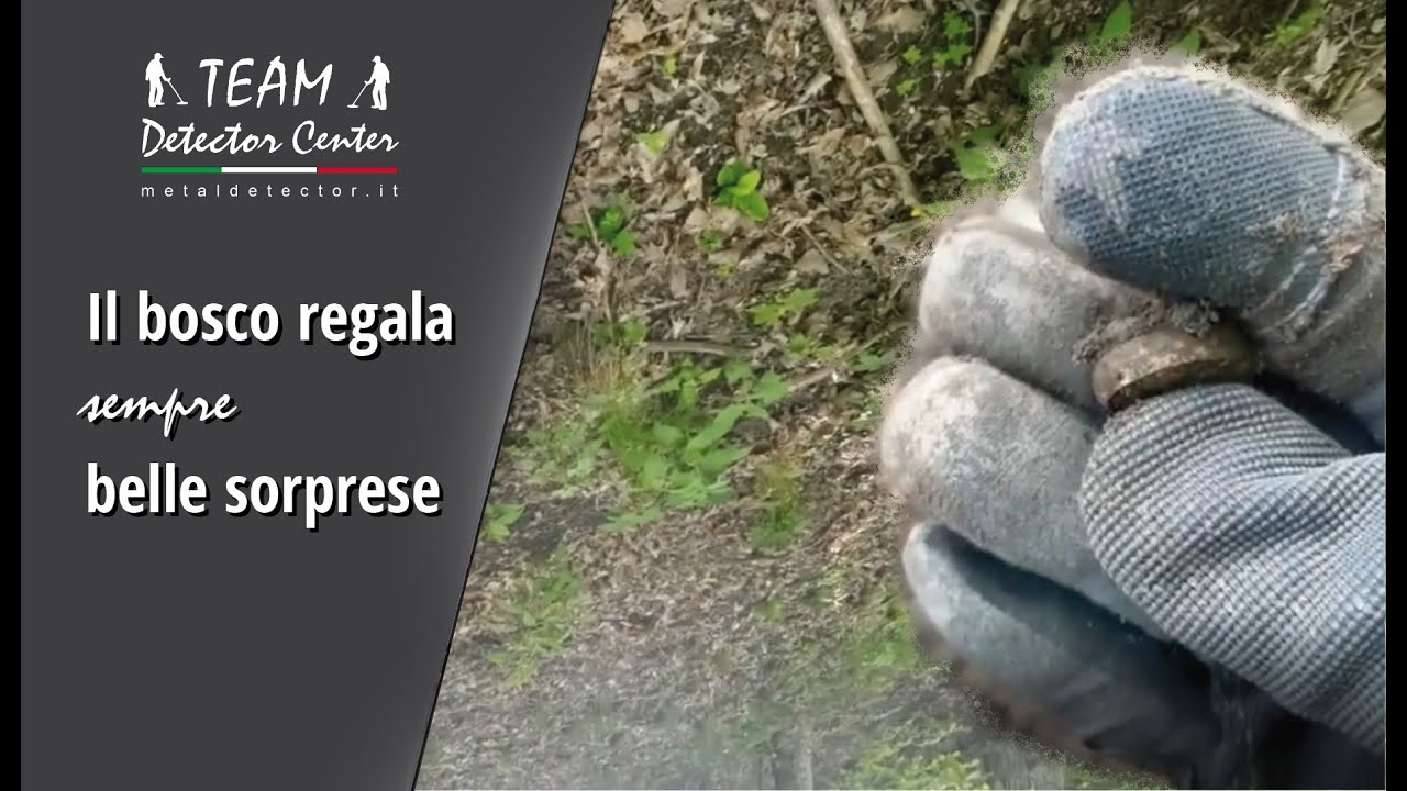 Il bosco regala sempre belle sorprese