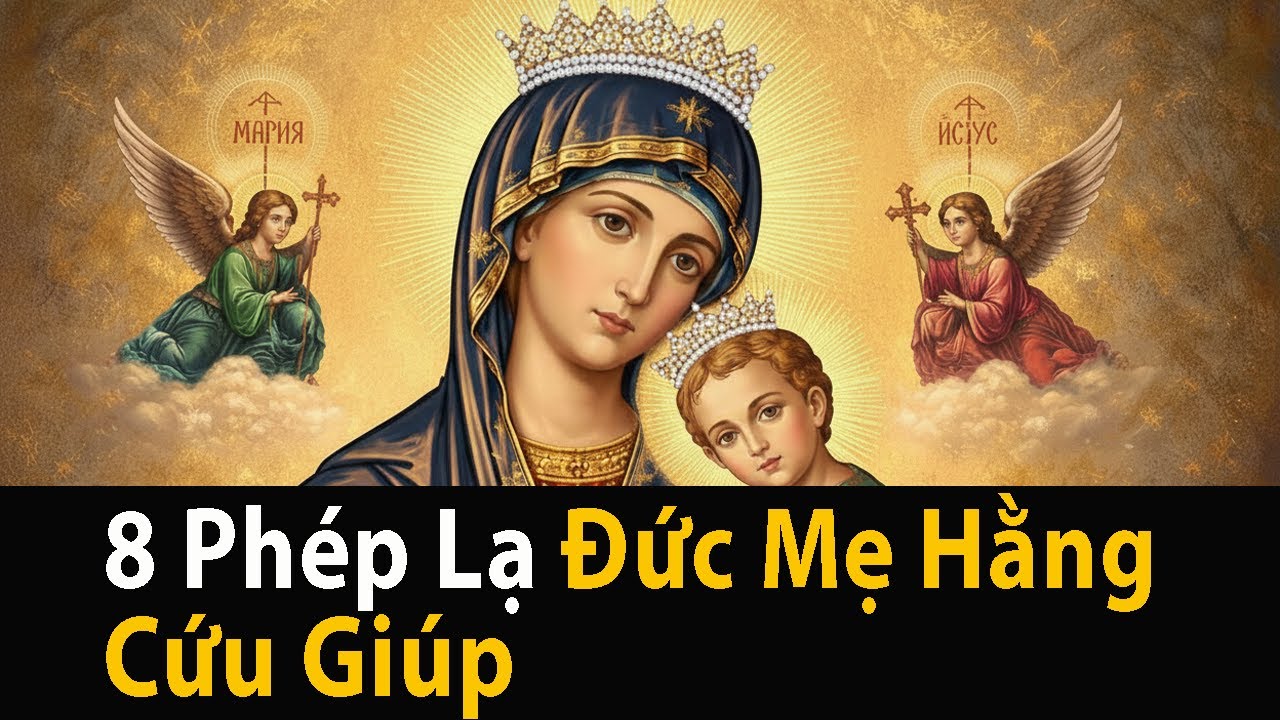 8 Phép Lạ  Đức Mẹ Hằng Cứu Giúp Tại Việt Nam  |  8 Câu Chuyện Xé Nát Tâm Can...
