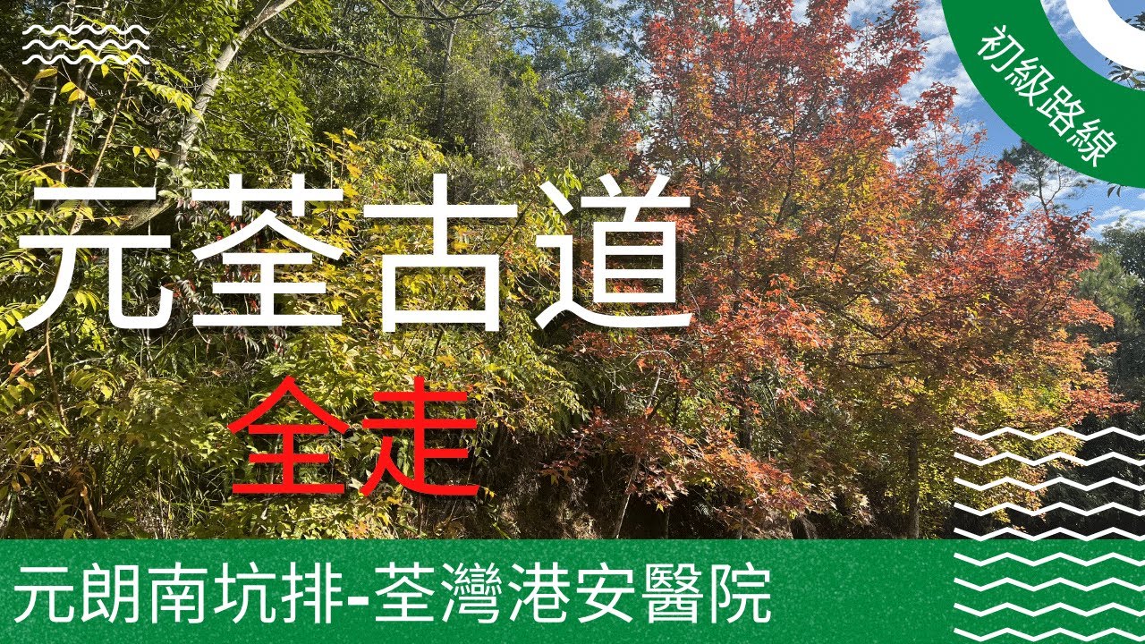 [香港郊遊路線] 元荃古道全走 紅葉郊遊 香港行山 元朗南坑排去荃灣 Yuen Tsuen Ancient Trail