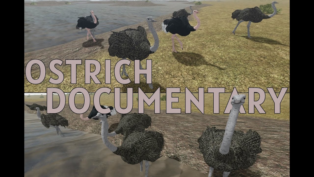Roblox - Testing A | OSTRICH DOCUMENTARY