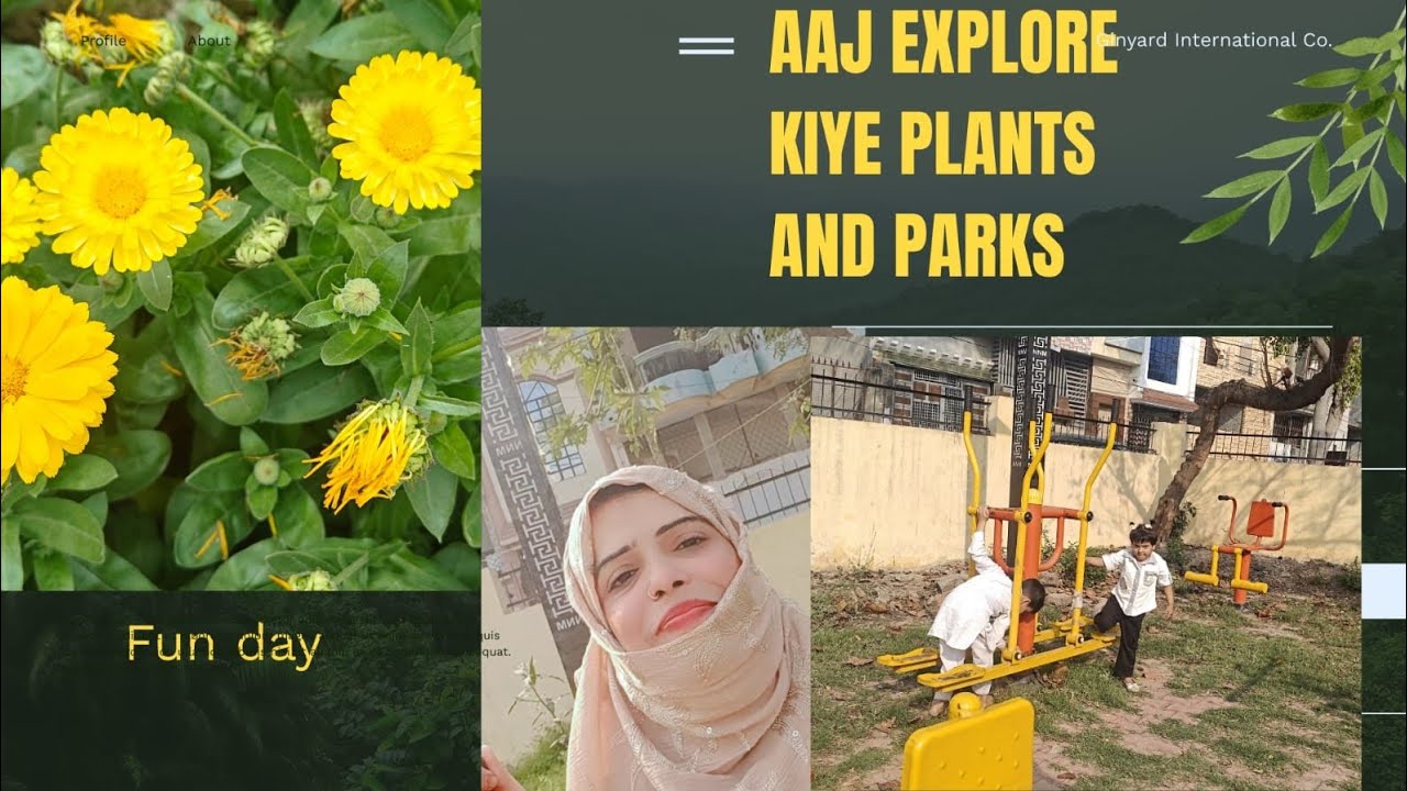 First Vlog ✨ A Peaceful Nature Walk with Beautiful Flowers 🌼#MyFirstVlog #NatureVlog#BeautifulFlower