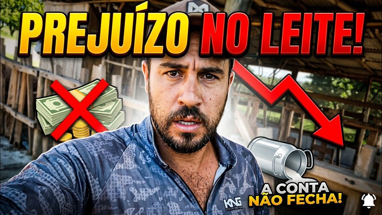 ✅️Tirei leite e quase levei prejuizo... olha isso