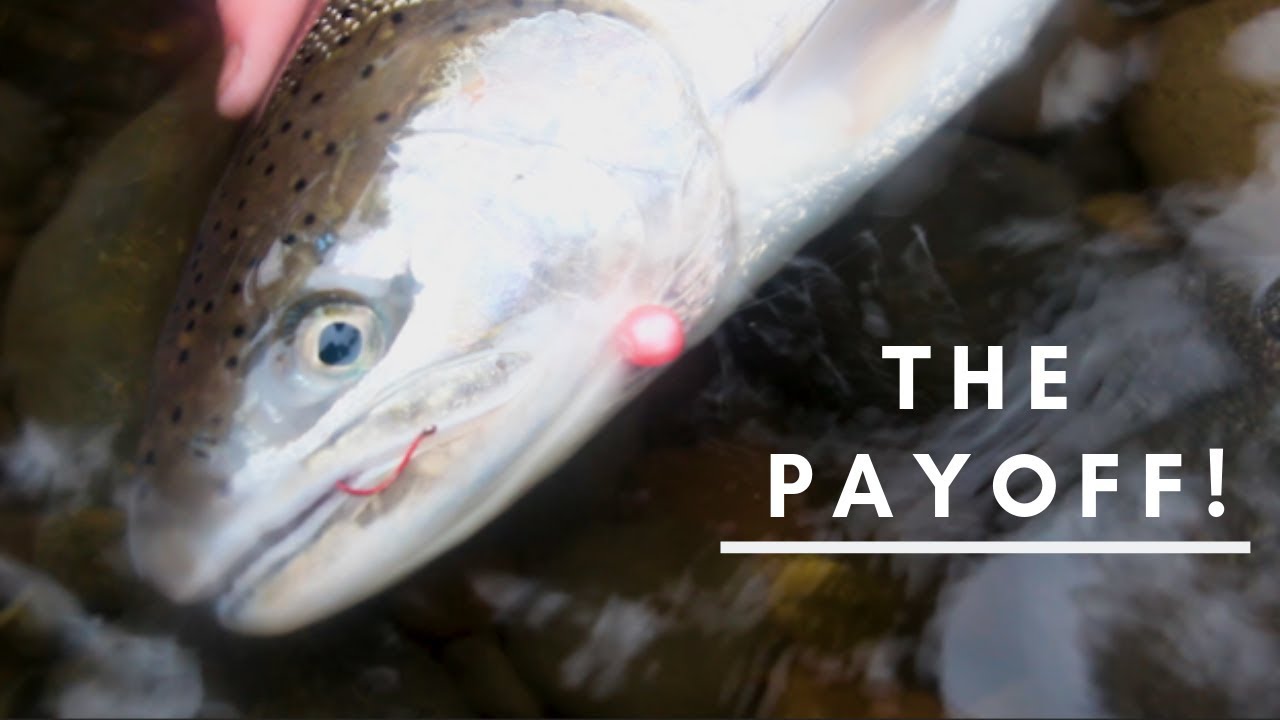 Your Local Oregon Angler | Bobber Doggin' For Wilson River Winter Steelhead | (day 6)