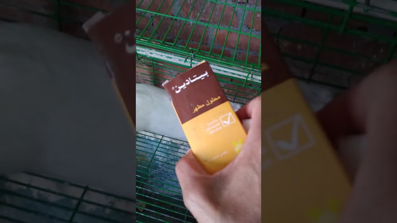 نجاح علاج الفطر في وجه الارنب