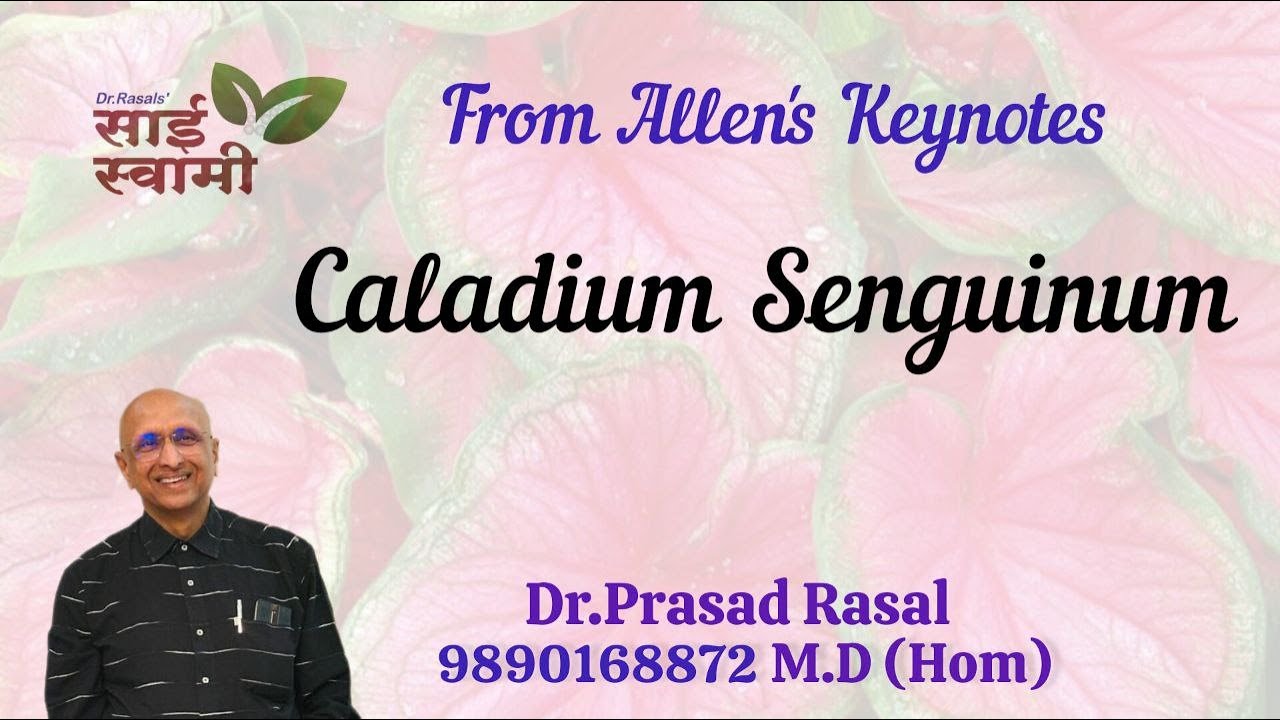 My Experiences with Caladium Seguinum...