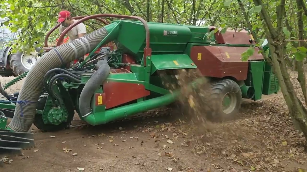 Raccolta nocciole 2022 con semovente facma cimina 300 S