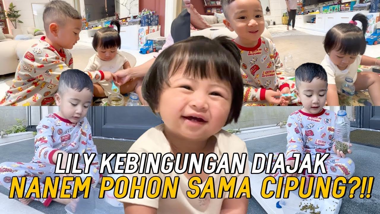 CIPUNG NGAJARIN LILY CARA BERKEBUN!!! GEMES BANGET!!! LILY SAMPE NGAKAK!!!