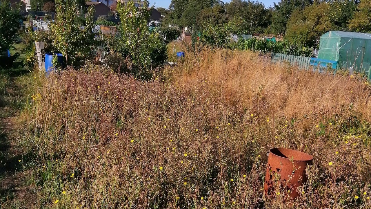 ALLOTMENT  TRANSFORMATION WOW !!!😮