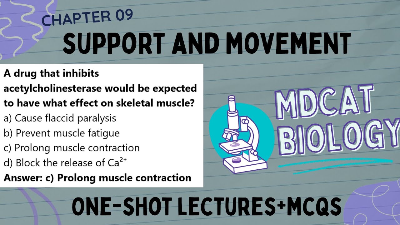 MDCAT Biology Chapter 09 | Support and Movement One Shot | Biology Lectures 2025 | MDCAT MCQs