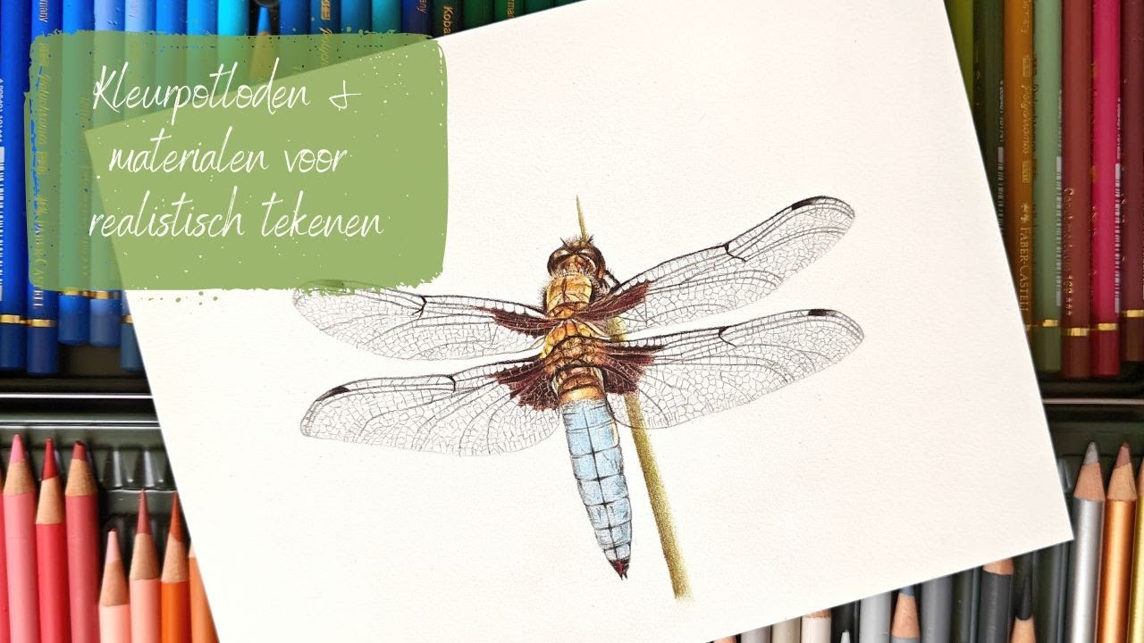 Mijn kleurpotloden & materialen voor realistisch tekenen ✏️✨ | Wat ik écht gebruik