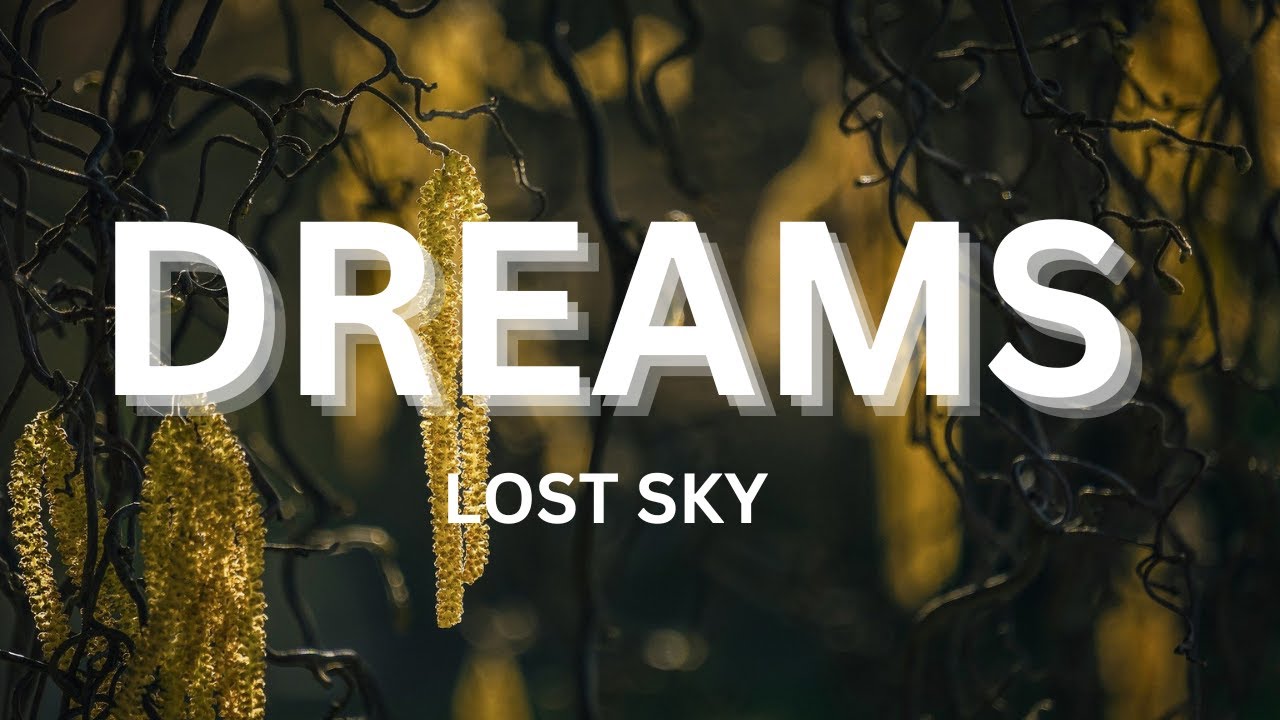Lost Sky  Dreams pt II feat Sara Skinner  Lyrics