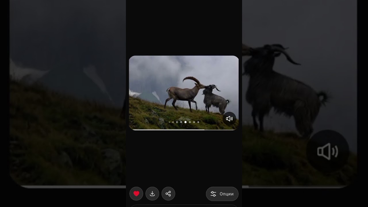 0🐐➡️💪💥👏
