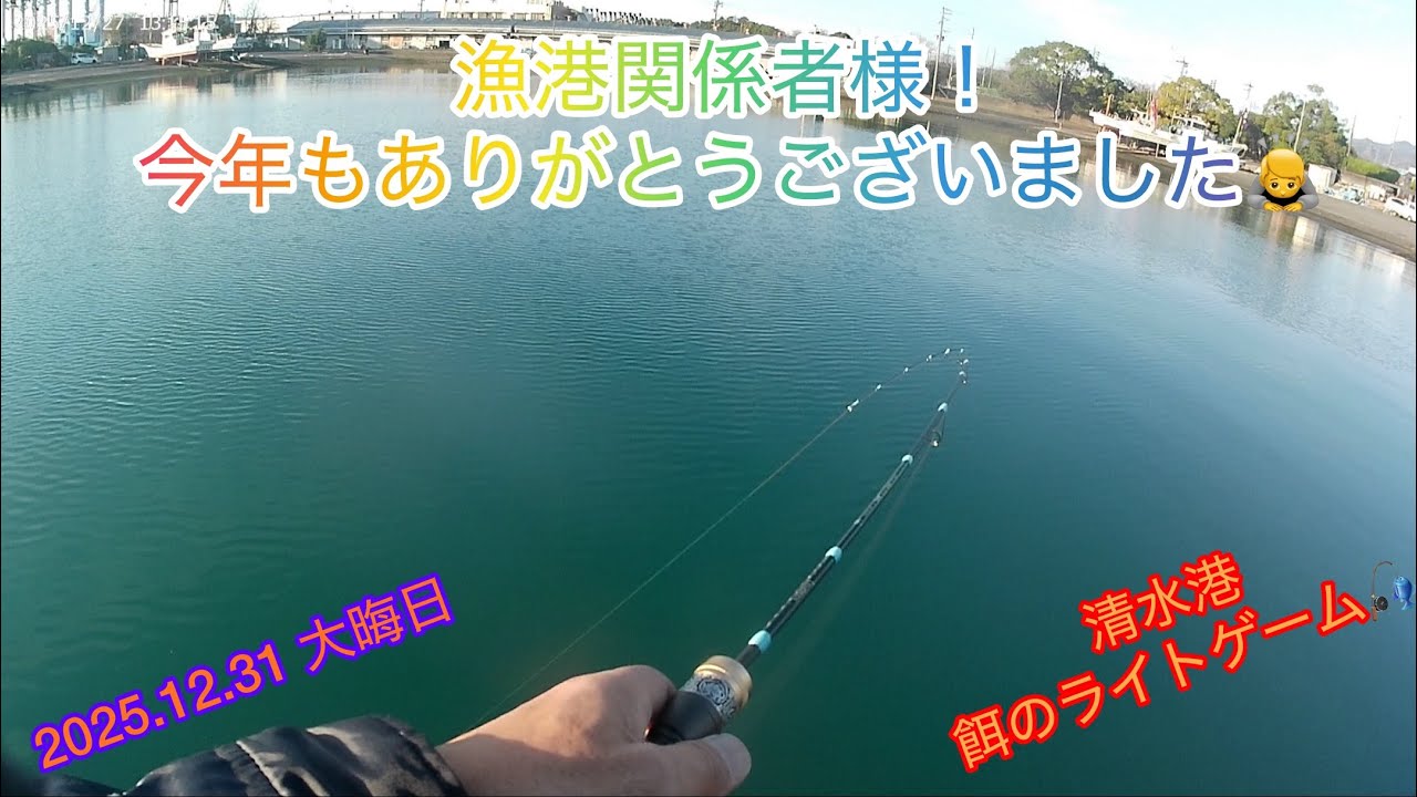 【ライトゲーム】日中の清水港堤防で餌のライトゲーム！2025年度もありがとうございました🙇