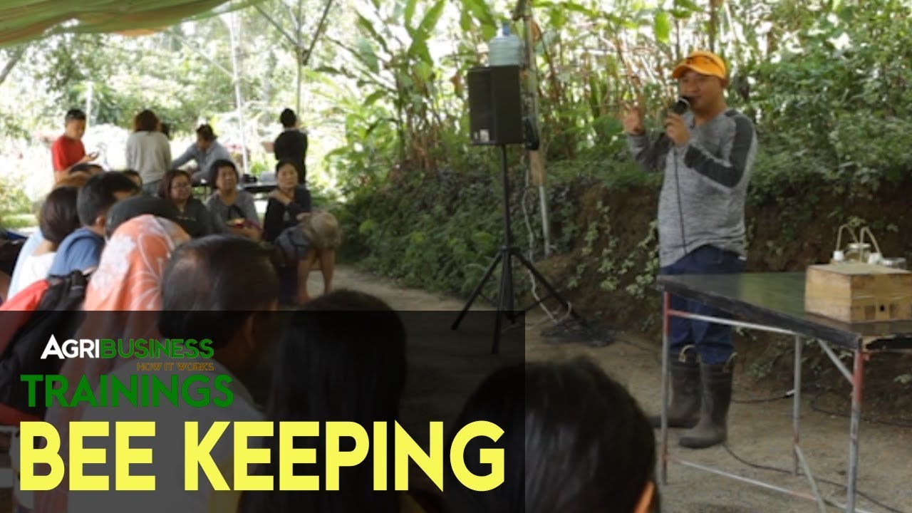 Beekeeping Farming: Why Beekeeping in the Philippines is Getting More and More Popular