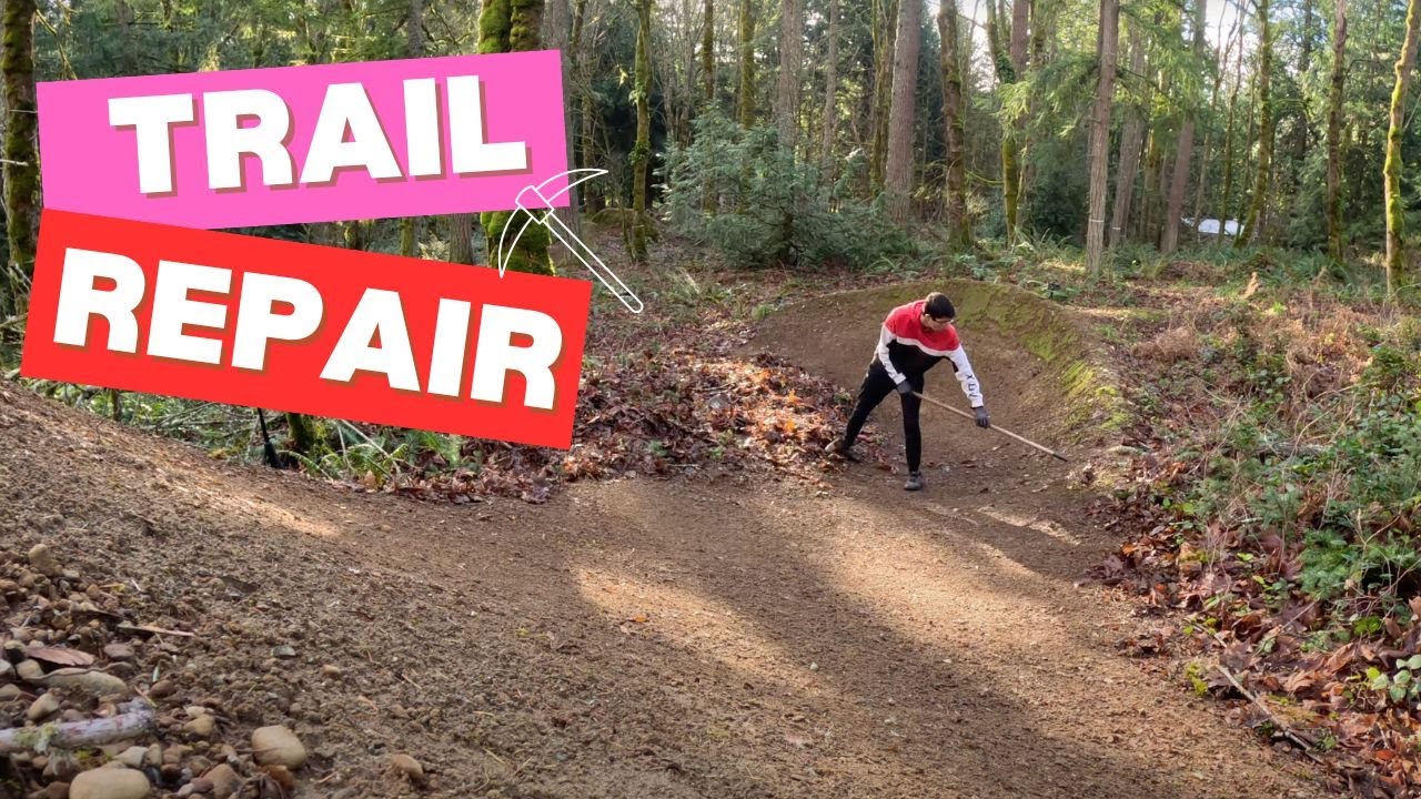 Revealing my Backyard Mountain Bike Jumps!