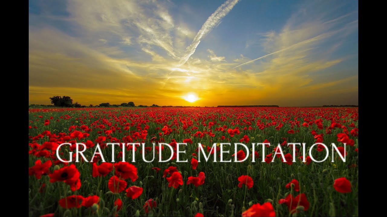 Gratitude Meditation