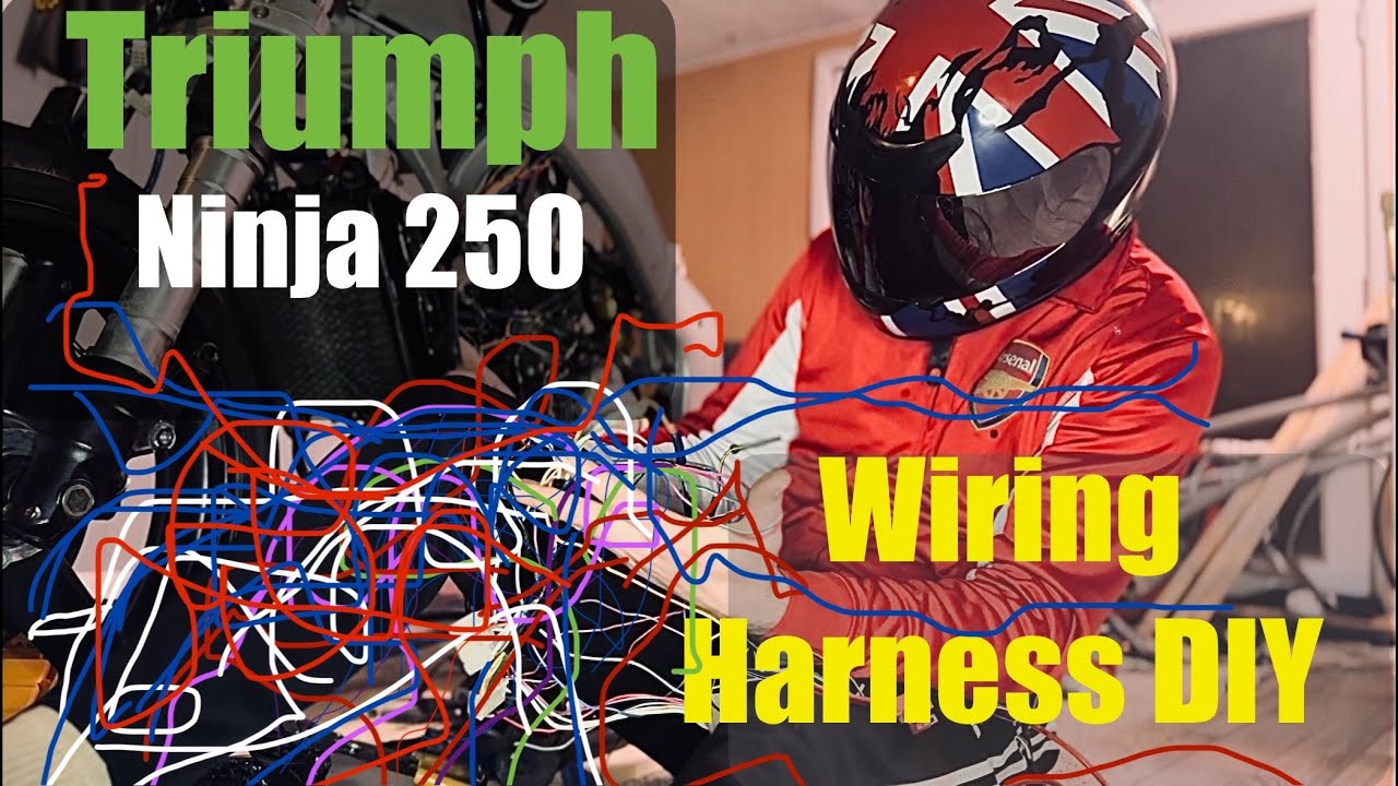 DIY Ninja 250 Wiring Harness, Race Bike, Triumph Framed!