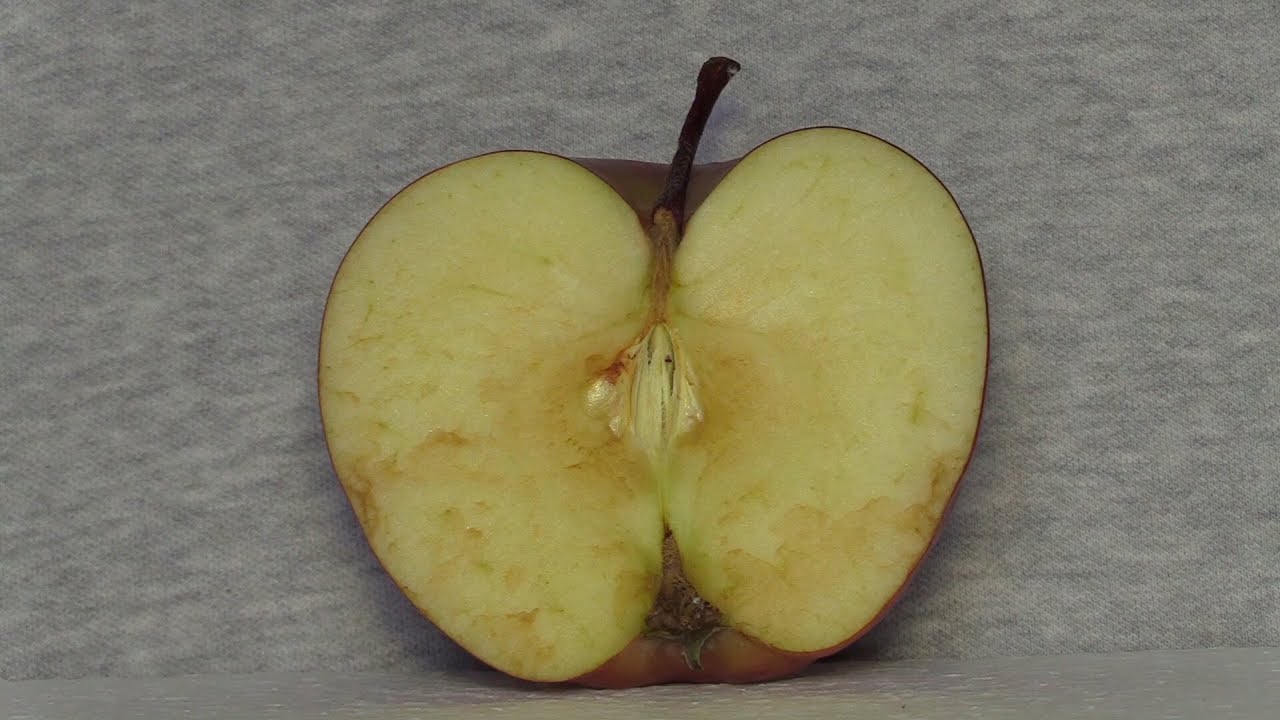 Why Do Apples Turn Brown?