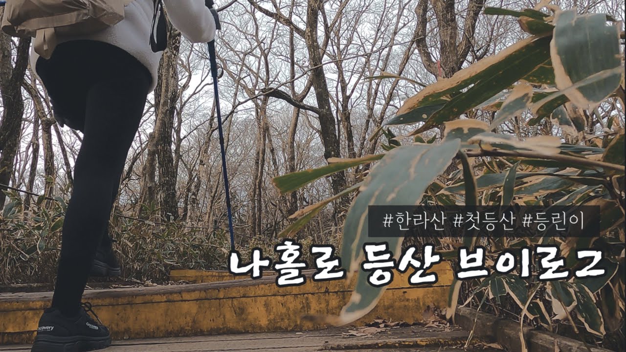 [등산 Vlog] 첫 등산! 제주 한라산 등산 브이로그 (성판악 코스)ㅣ나홀로 제주 #3