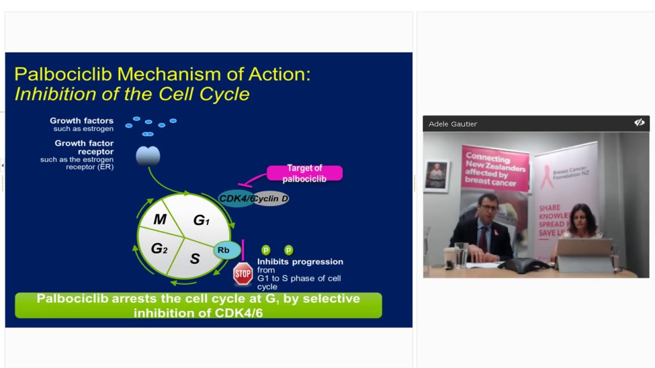BCFNZ Webinar: Palbociclib (Ibrance) for advanced or metastatic HR+ breast cancer - NZ update