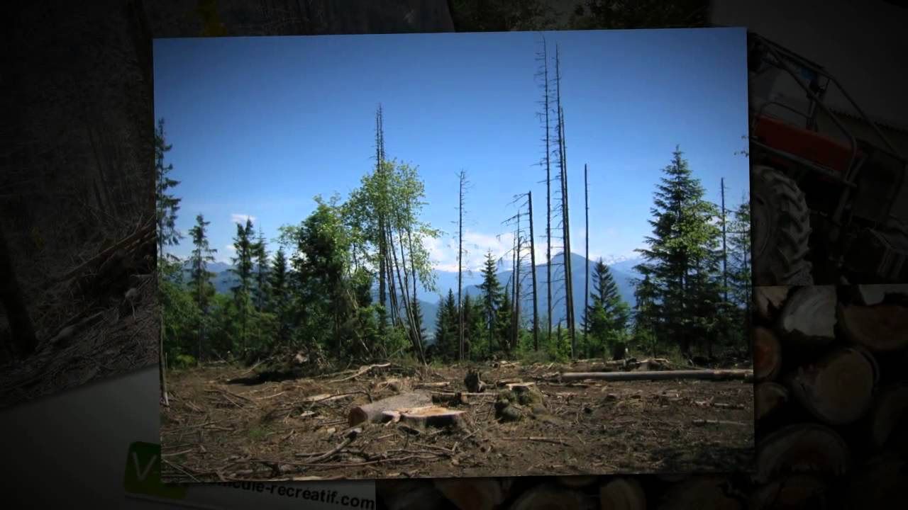 Occasion Foresterie et Bois usag&eacute; au Qu&eacute;bec