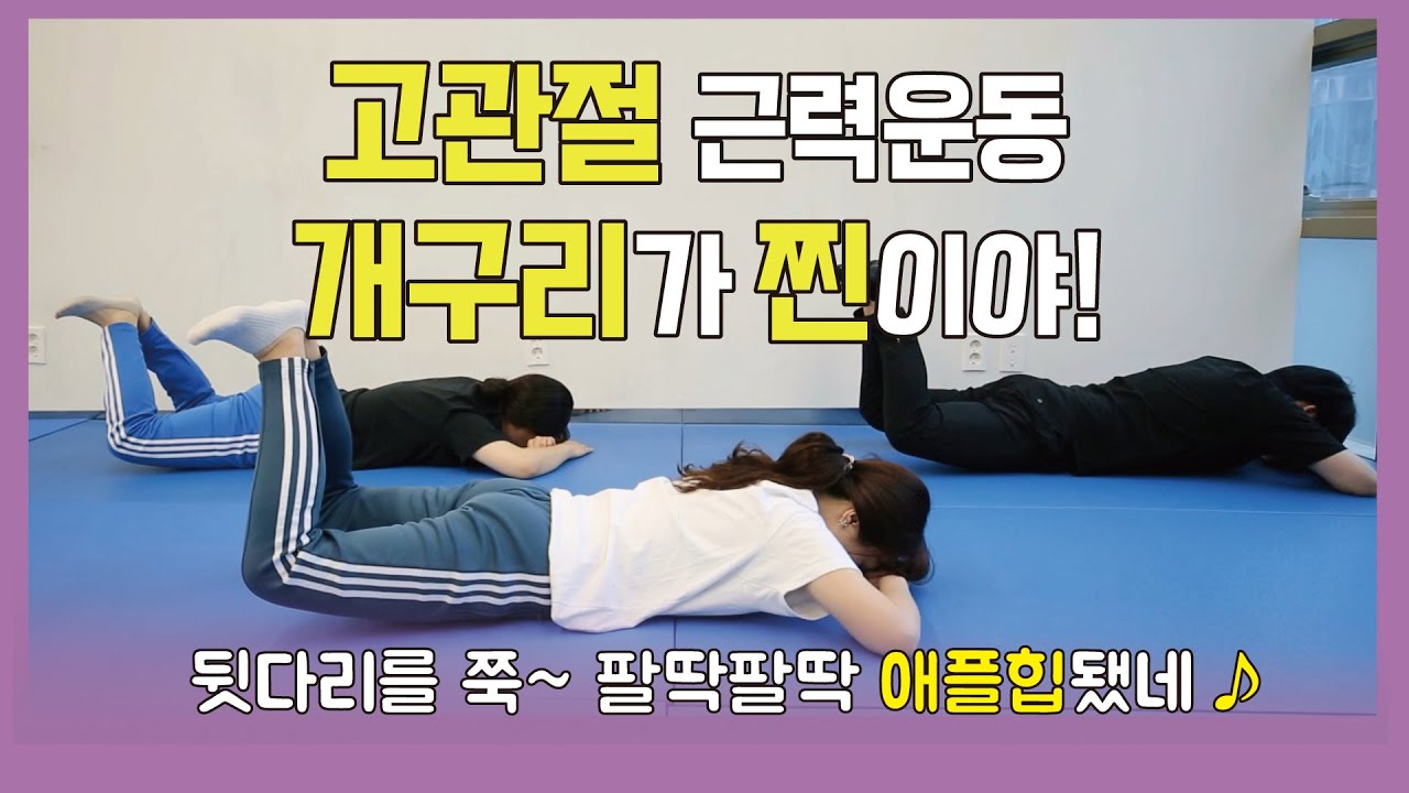 [필라테스 고관절편] 물리치료사가 알려주는 꼭 봐야 할 필라테스 고관절 근력운동(feat. 애플힙)