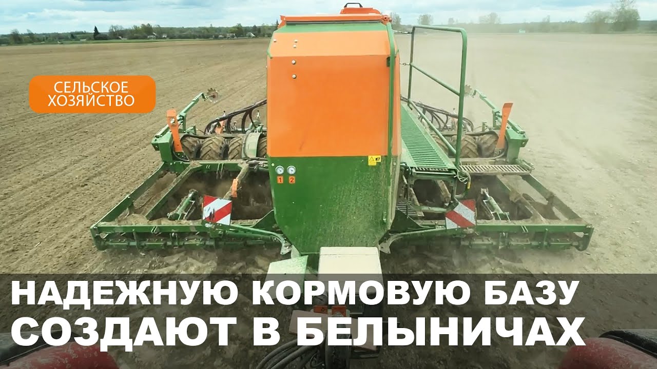 Сев ранних зерновых культур завершен в СПК «Колхоз «Родина» Белыничского района