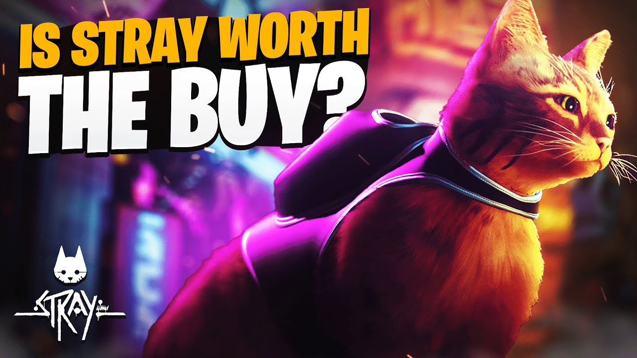 Stray Game Review: Is it WORTH the BUY?