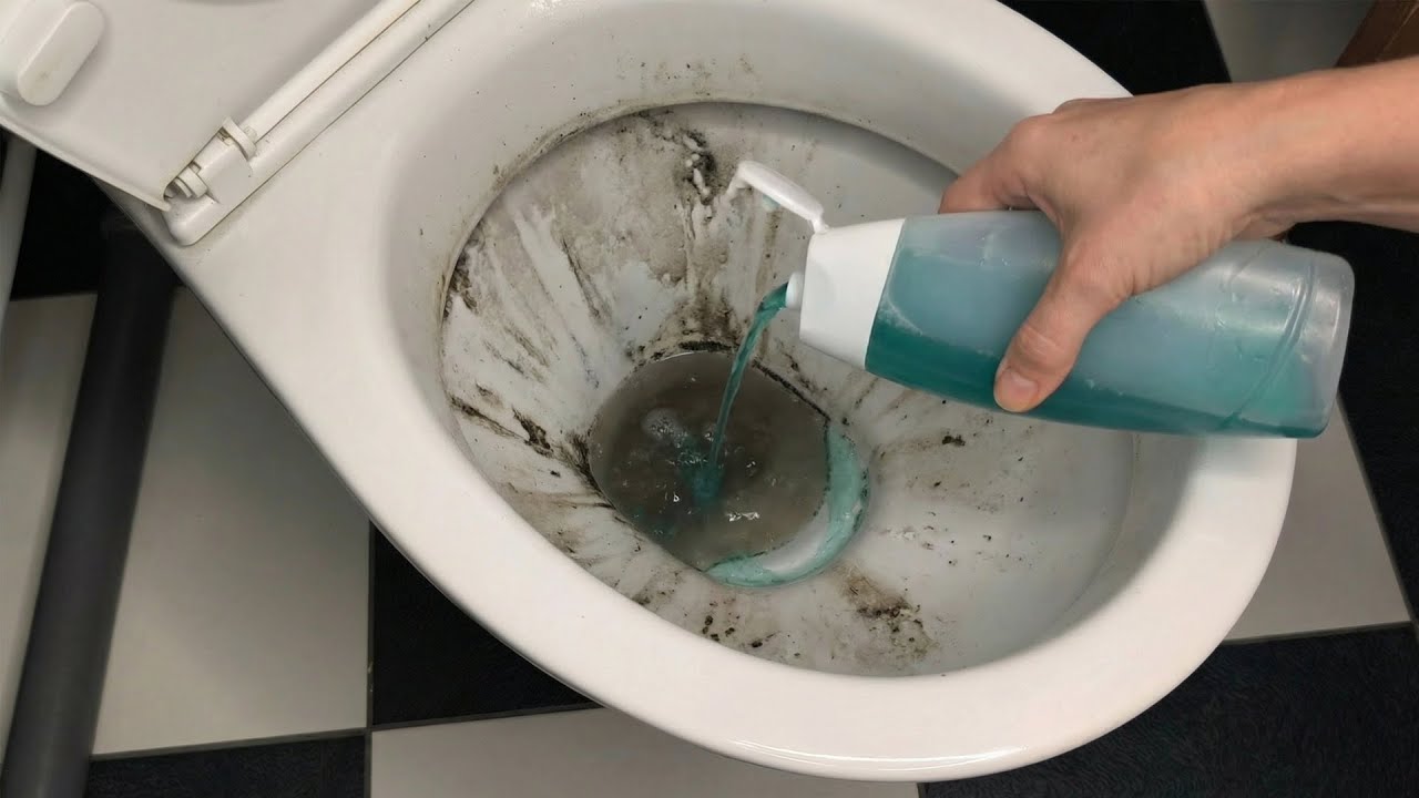 How to Clean a Toilet with THIS Simple Product ✨