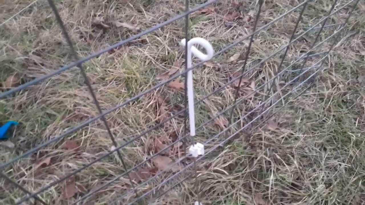 EP234 sheep fold and grazing tips.