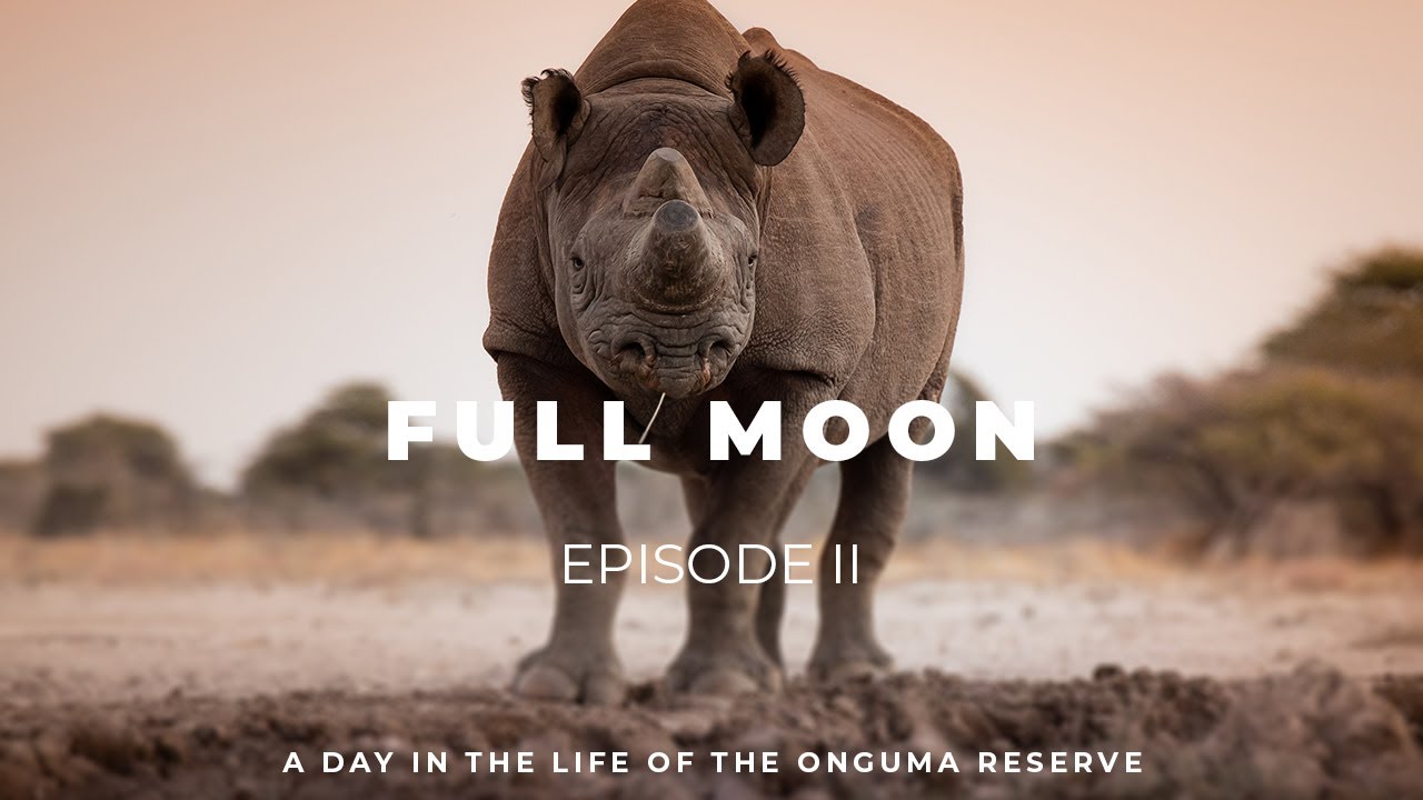 Episode 2 - Full Moon ⏐ A Day In A Life Of The Onguma Reserve