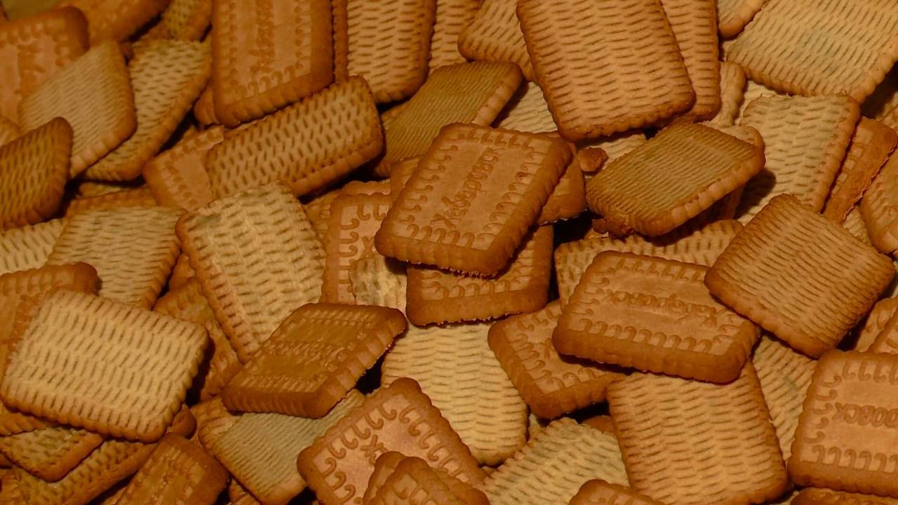 Технологическая линия для производства сахарного печенья