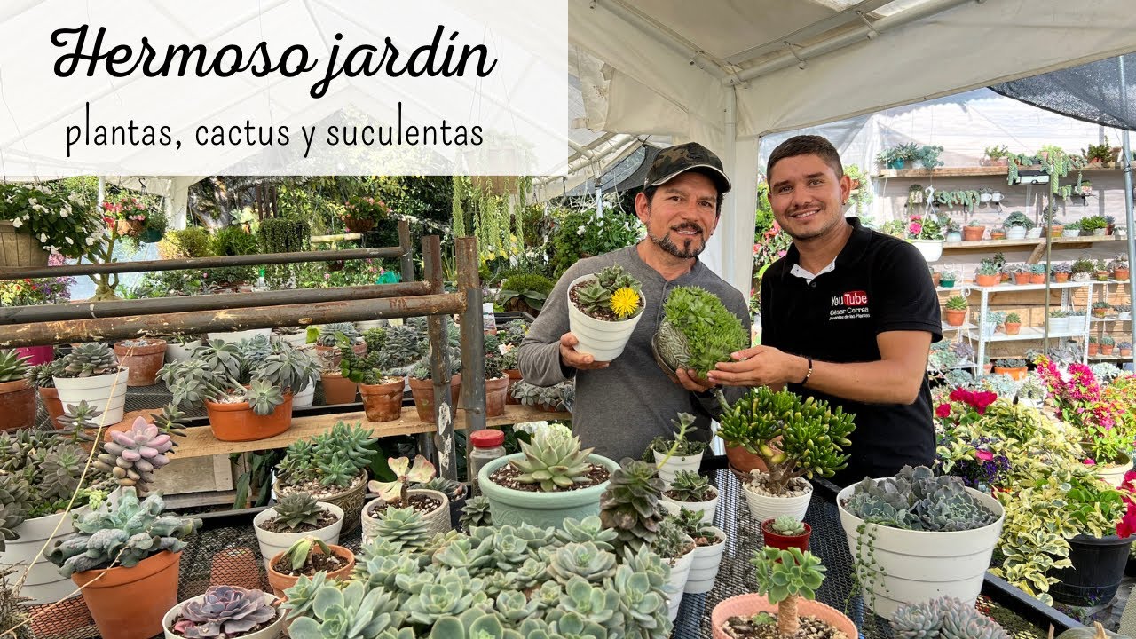 IMPRESIONANTE colección de PLANTAS, CACTUS Y SUCULENTAS