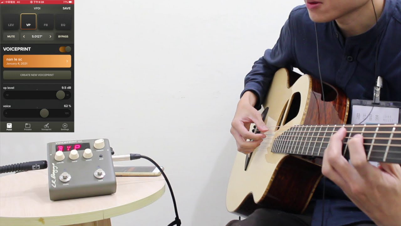 L.R Baggs - Voiceprint DI acoustic guitar Impulse Response Pedal Demo