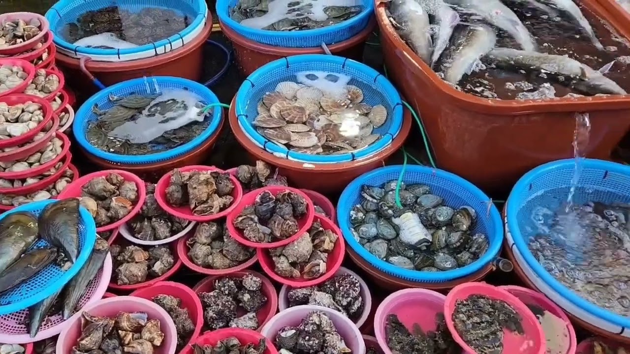진해 용원수산시장(fish market)