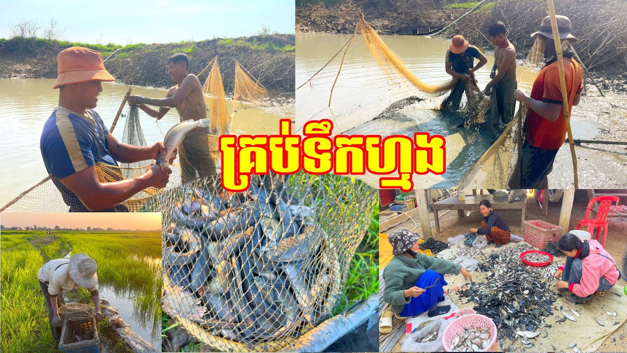 សំបូរណាស់មួយឆ្នាំបូមម្តង ចាប់ត្រីបានទាំងតាកា