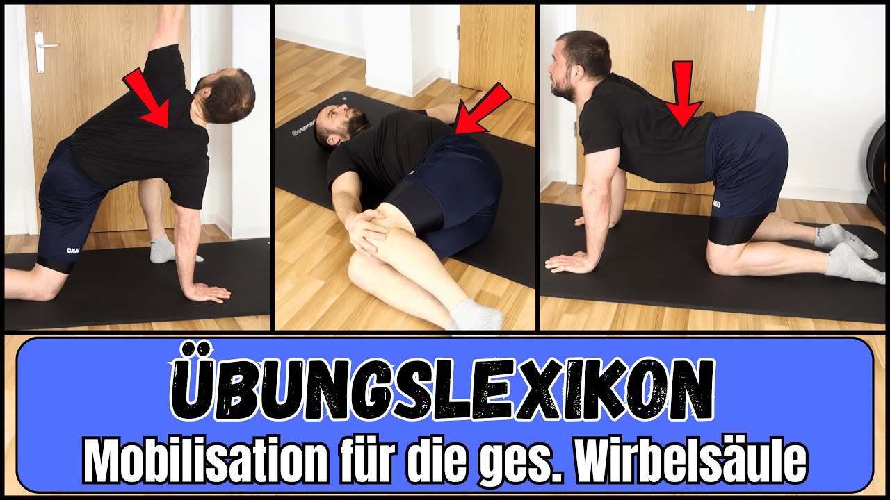 Hals-, Brust- & Lendenwirbelsäule mobilisieren - Übungslexikon Mobilisation