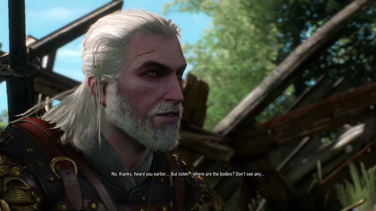 Witcher 3, new city 1/2