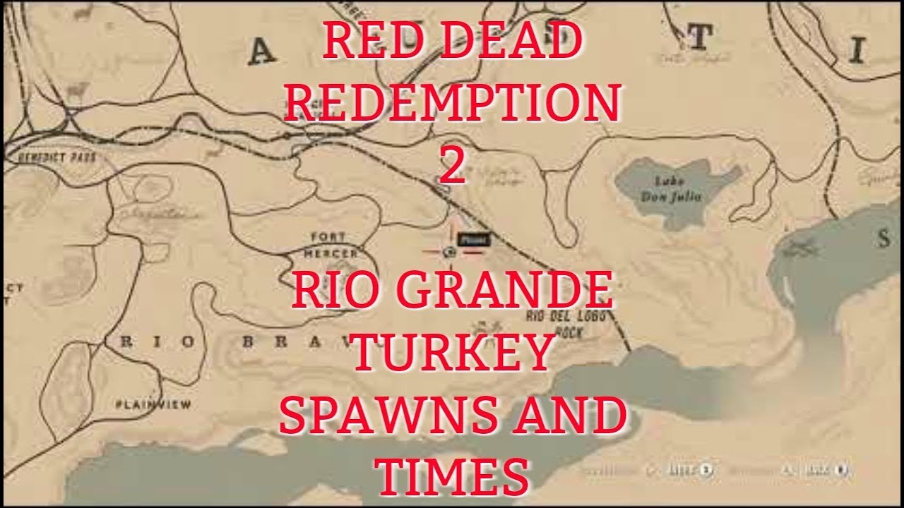 RDR2 LOCATIONS AND SPAWN TIMES FOR THE RIO GRANDE TURKEY