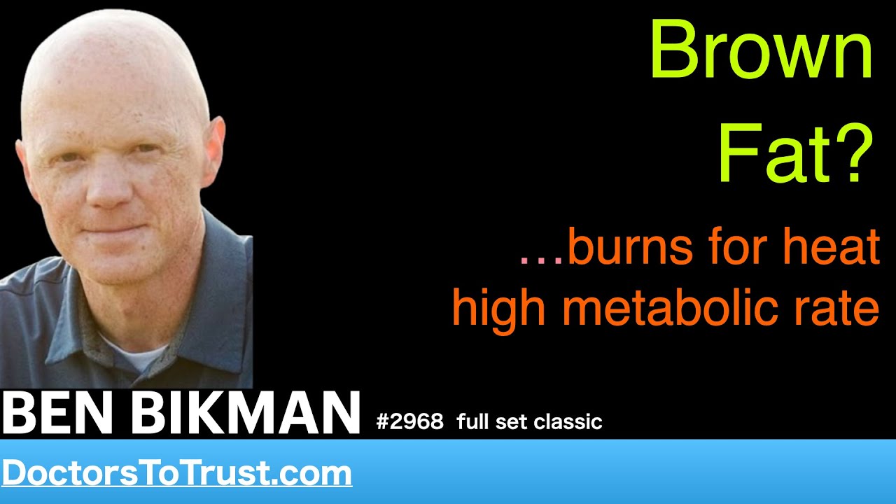 BEN BIKMAN | Brown fat:  burns for heat; high metabolic rate