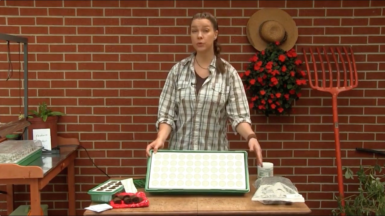How To Use Gurney's Seed Starting Kit, Heat Mat & Grow Light For Seedling Success