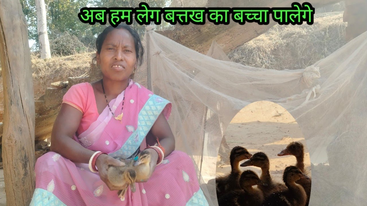 अब हम लोग बत्तख का बच्चा पालेगे // budhani ki duniya