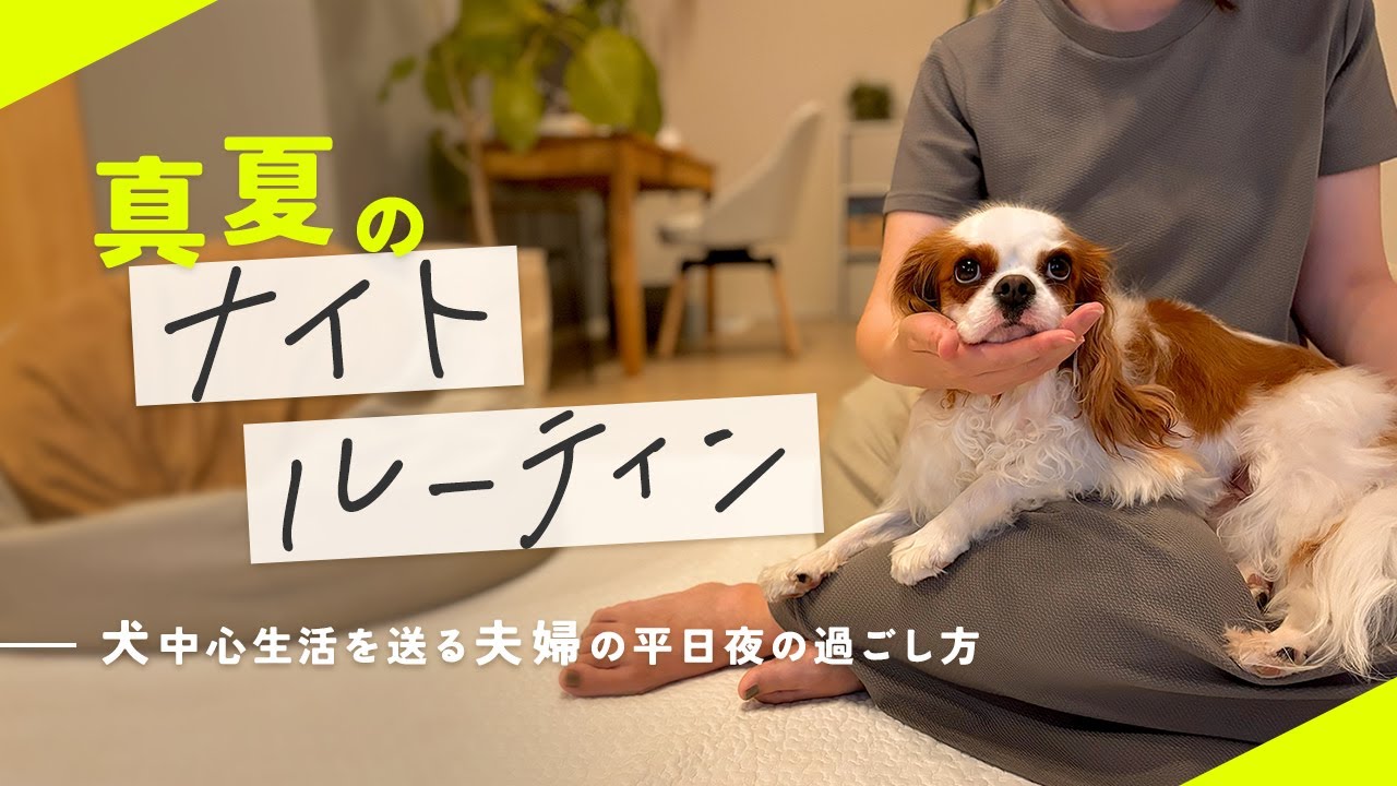 【ナイトルーティン】夫婦＋犬の真夏の平日仕事終わり〜寝るまでの過ごし方｜在宅フリーランス｜夕食づくり｜キャバリア｜Night Routine