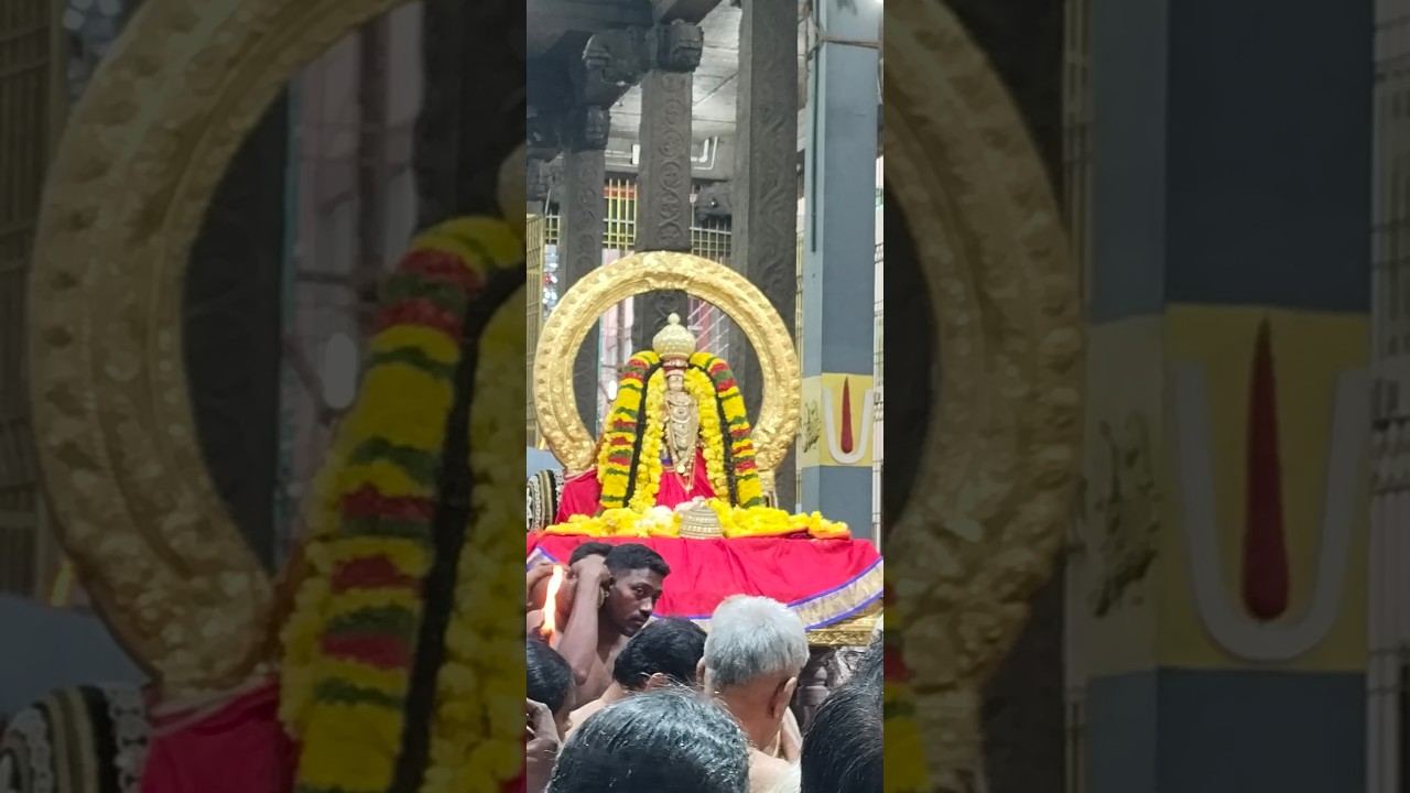 ஸ்ரீ வைத்திய வீரராகவ பெருமாளை ஜீயர் சுவாமிகள் சேவித்தல் திருவள்ளூர்.