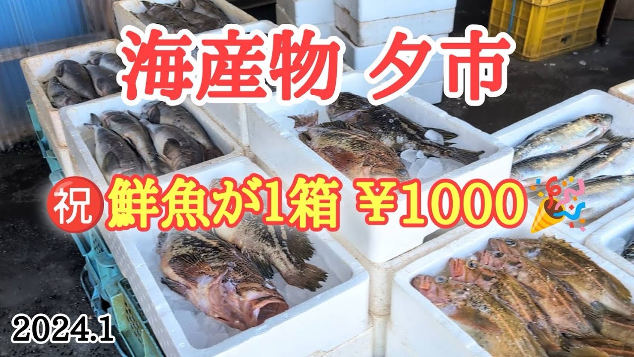 【北海道】白老町の海産物「夕市」へ🐟今が旬の鮮魚を探しに😋