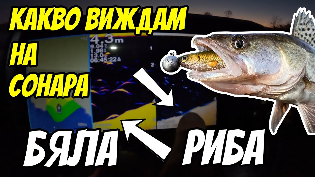 Oт ТЪМНО до ТЪМНО. РИБОЛОВ НА БЯЛА РИБА. Ето какво виждам на сонара