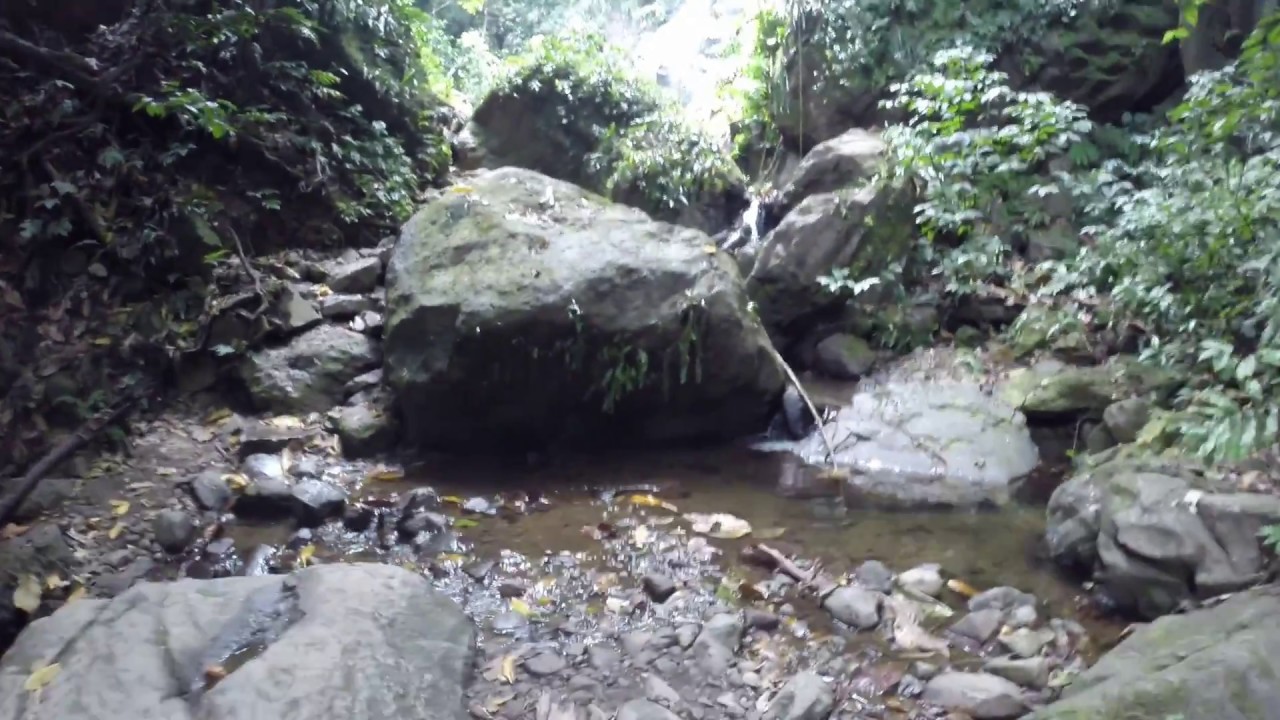 Hiking Couleuvre Waterfall, Martinique