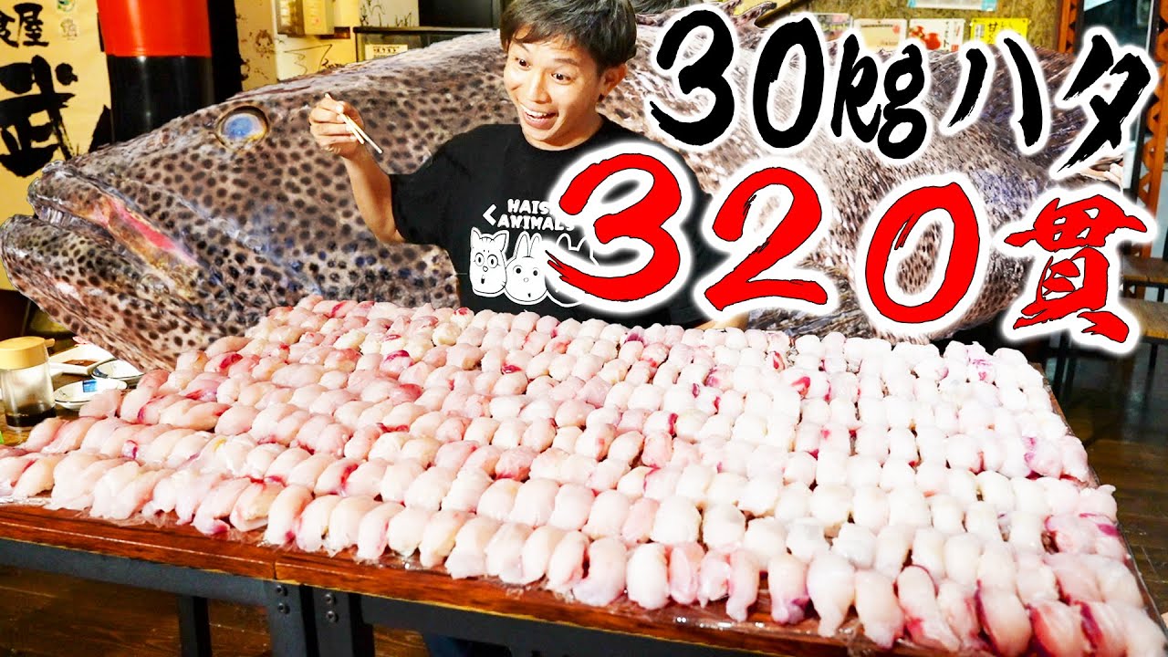 【大食い】３０ｋｇ超えの化物ハタを全部寿司にして食べる【アーラミーバイ寿司 #後編】