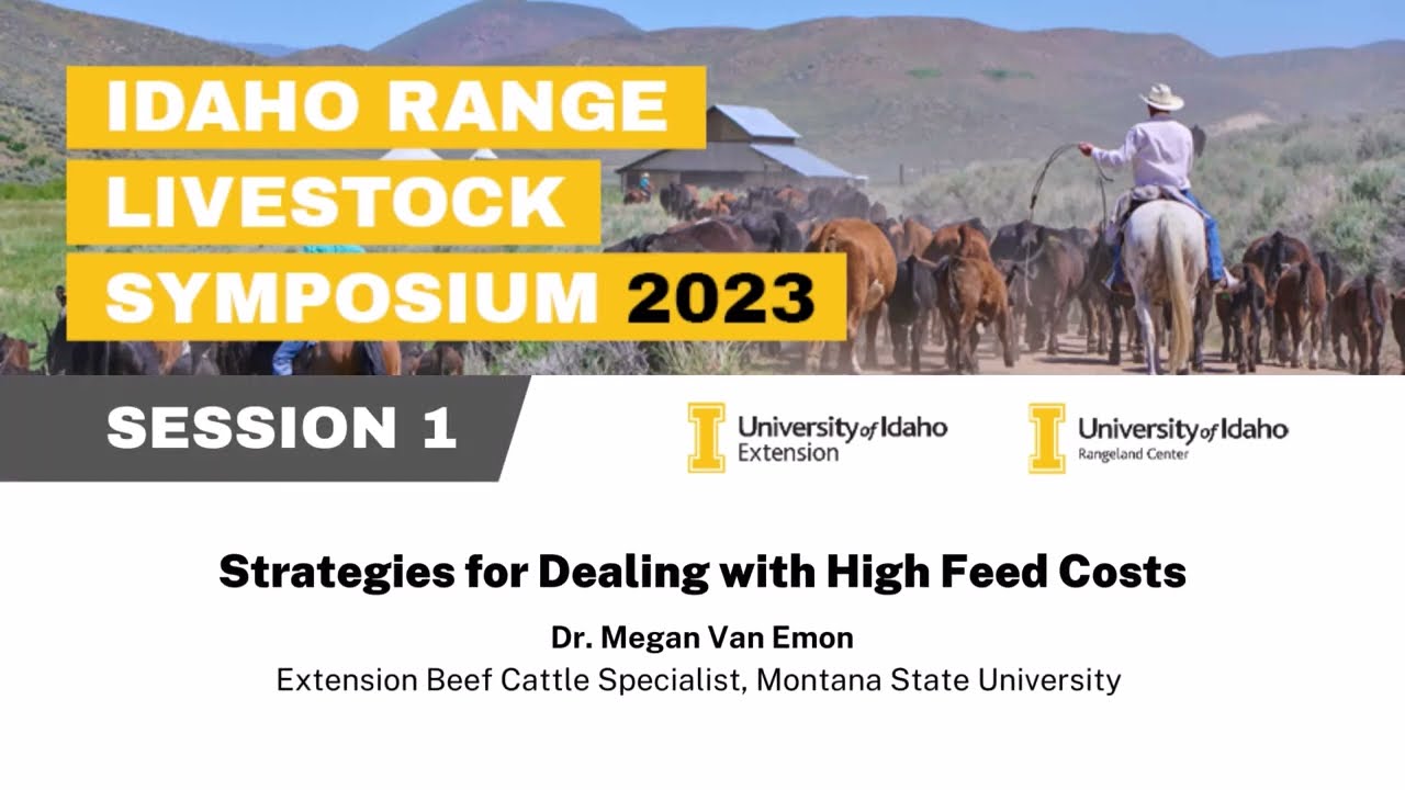 IRLS 2023 Session 1: Managing High Feed Costs